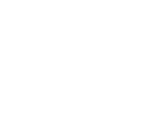 Evans Ray Belluz